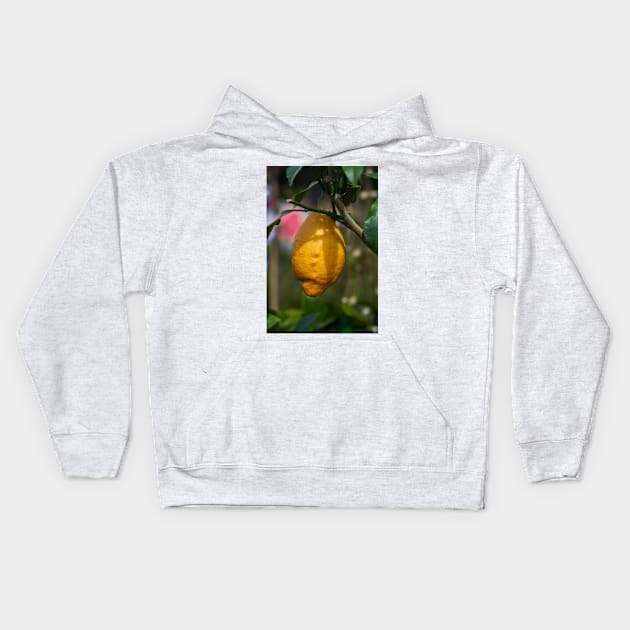 Single lemon in a tree Kids Hoodie by naturalis